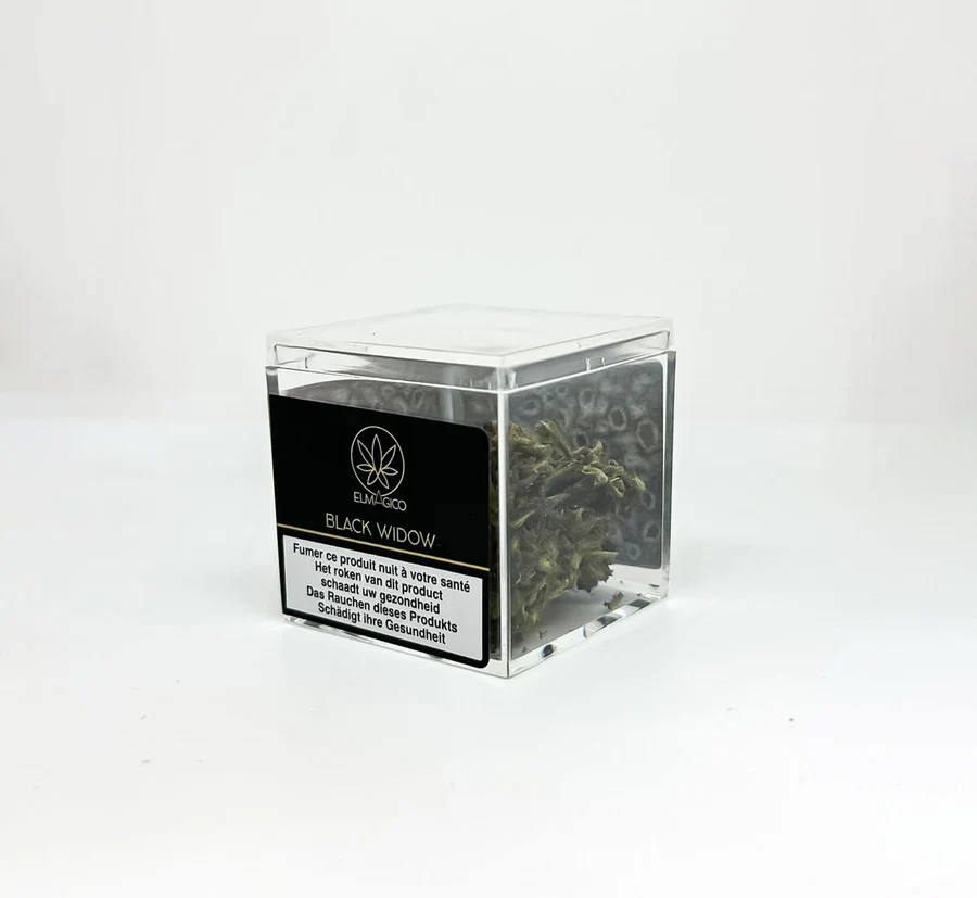 El Magico - 2GR Black Widow